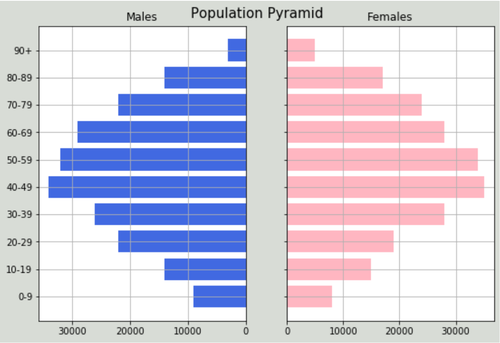 Bevölkerungspyramide in Python
